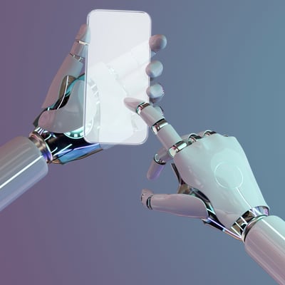 bot bot