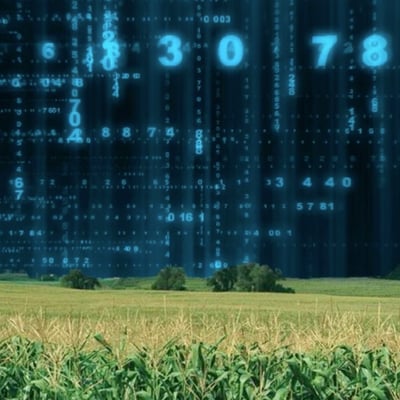 data-farm data-farm